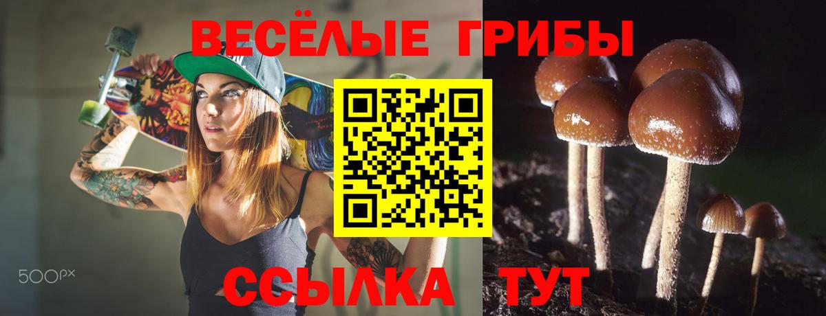 Псилоцибиновые грибы мицелий Тамбов